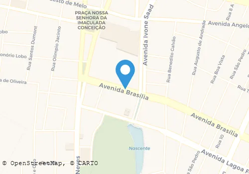 FLORICUTURA ROSA DE SHARON Floriculturas em Formosa GO