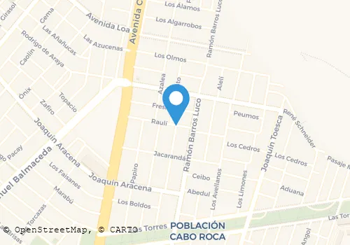 CARNICERIA CRISTINA Carnicerías en Arica AP