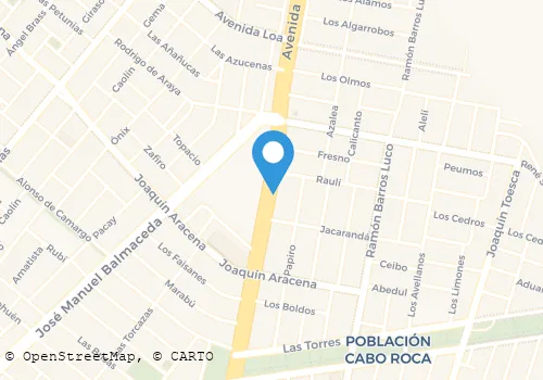 NAVARRO PEÑA Y OTROS JUAN ALBERTO Transportes en Arica AP