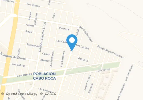 PATRICIA HUMBERTINA MAMANI GORDON Salud Y Belleza en Arica AP