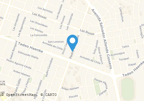 SALON DE BELLEZA MECHITA'S Salud Y Belleza en Iquique TA