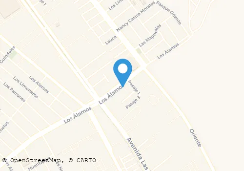 CHIFA YAO QING LTDA. Turismo Y Hotelería en Alto Hospicio TA