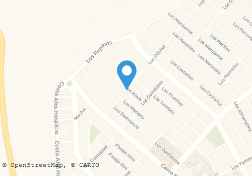 RADIOTAXI PUERTO GRANDE Transportes en Alto Hospicio TA