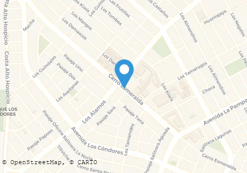 TRANSPORTES AJ LIMITADA Transporte De Carga en Alto Hospicio TA