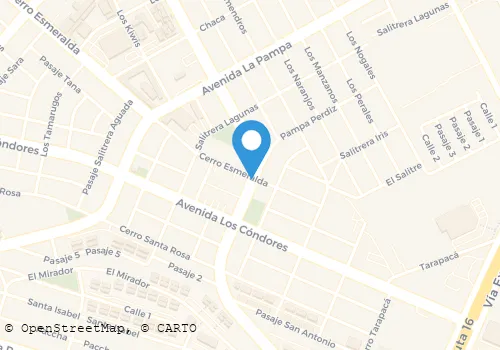 ARMIN MAMANI CALLAPA TRANSPORTE Y SERVICIOS E Transporte De Carga en Alto Hospicio TA