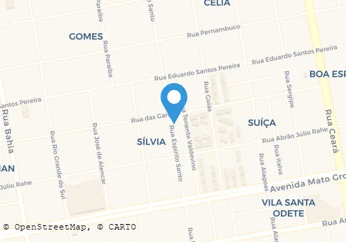 SÔNIA LECHUGA, DRA Advogados em Campo Grande MS