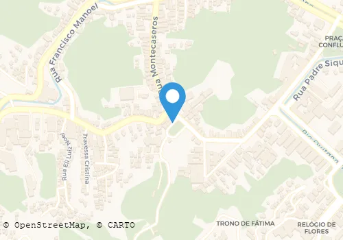 FLORA LAS PALMAS LTDA Floriculturas em Petrópolis RJ