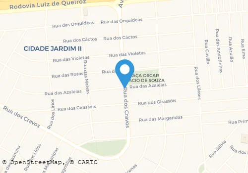 AUTO ESCOLA E DESPACHANTE JARDIM S/C LTDA Escolas em Americana SP