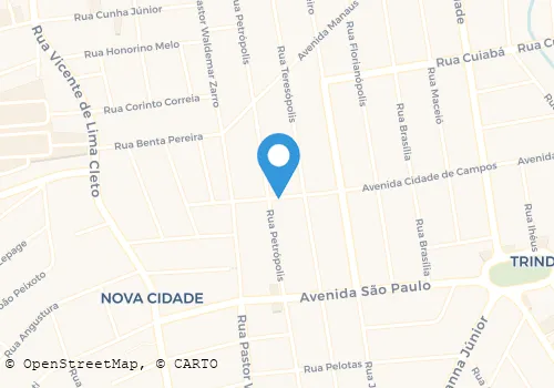 LILAS  ARTESANATO CESTAS PLANTAS E FLORES Vasos De Plantas em São Gonçalo RJ