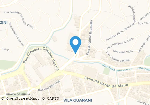 DESPACHANTE FORMULA 1 S/C LTDA Serviços Auxiliar De Despachante Avaliadores em São João Da Boa Vista SP