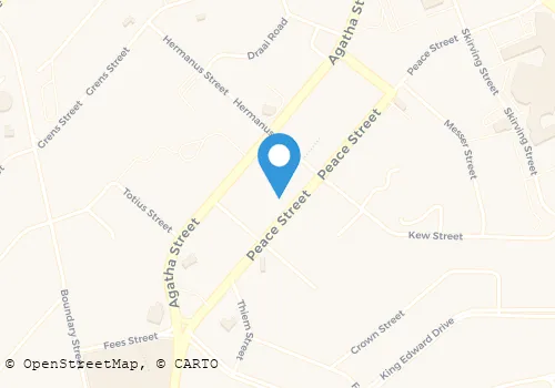REGREY SECURITY CO Security Systems in Tzaneen LP