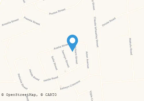 NORTHERN SECURITY Security Systems in Tzaneen LP