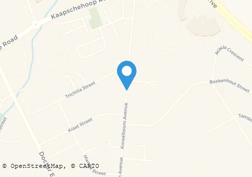 CYCAD LODGE AND CHALET THE Guest Houses in Nelspruit MP