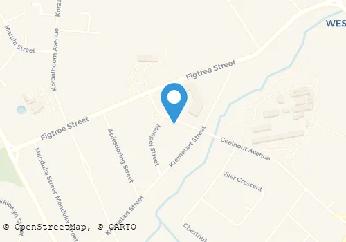 SUPERPRO GUARDS (PTY) LTD Security Systems in Nelspruit MP