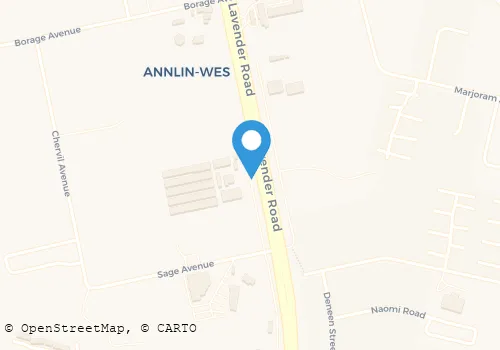 CYBERDENE SECURITY SOLUTIONS Security Systems in Pretoria GP