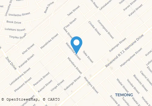 NKOSI B S DR Medical Practitioner - General Practice (g.p's) in Tembisa GP