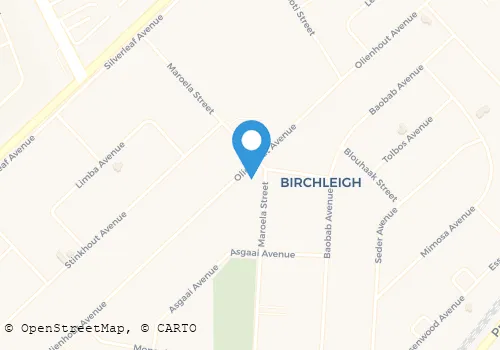 SECURIPARK (PTY) LTD Security Systems in Kempton Park GP