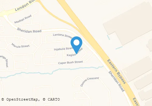 MLAULI SECURITY AND CLEANING SERVICES CC Security Systems in Johannesburg GP