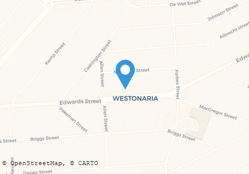MOSES SECURITY SERVICES Temporary Staff in Westonaria GP