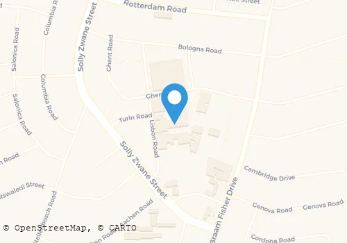 LUGER SECURITY CC Types of Security Services in Evander MP