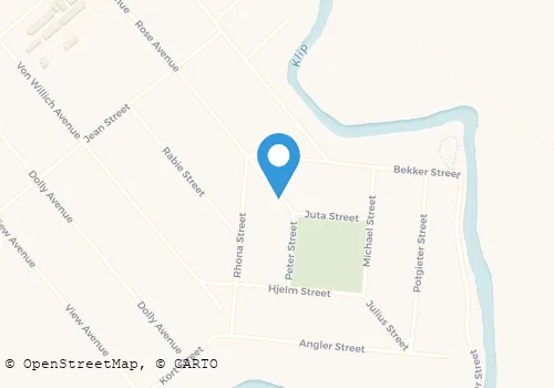 YOUNG SISTERS SECURITY AND PROJECTS Security Systems in Meyerton GP