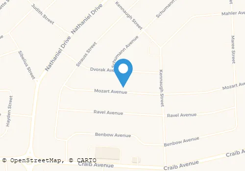 CPS SECURITY & CRIME PREVENTION SERVICE Security Systems in Welkom FS
