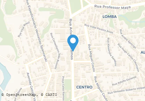 CARMINATI CONTABILIDADE Contabilidade - Escritórios em Orleans SC