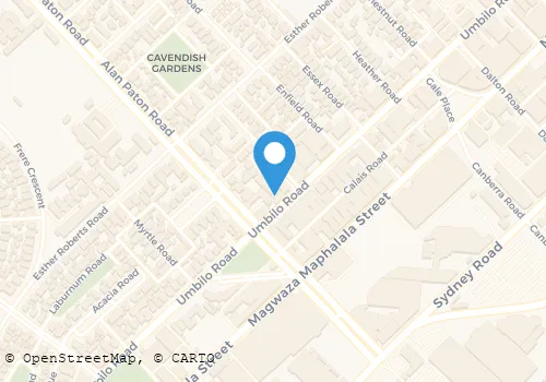 KWAZULU-NATAL SECURITY SERVICES (PTY) LTD Vip Protection in Berea KZN