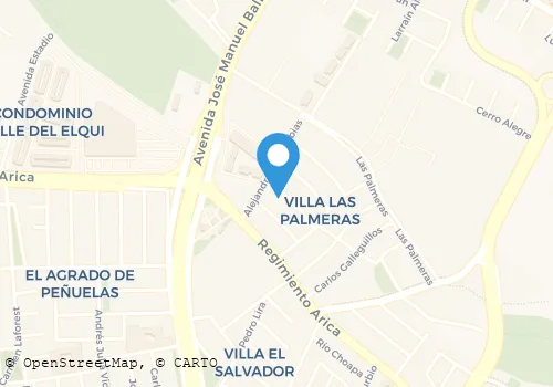 RADIO TAXIS LAS PALMERAS Transportes en La Serena CO