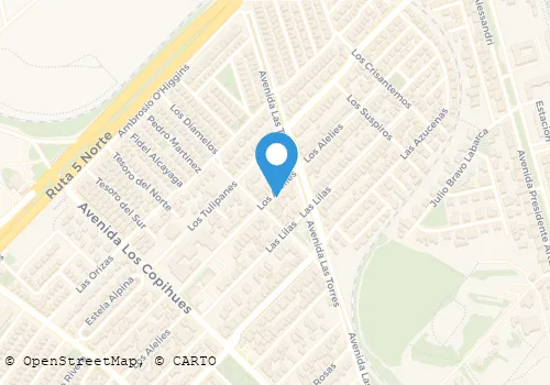 AMASANDERIA Y PASTELERIA HELENICA Panaderías en Coquimbo CO