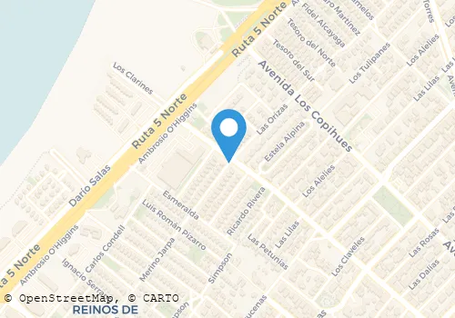 DELIQUIO SUSHI Turismo Y Hotelería en Coquimbo CO