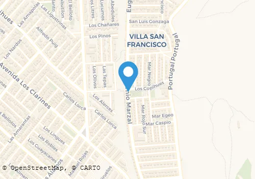PELUQUERIA NATALIA ANDREA Salud Y Belleza en Coquimbo CO