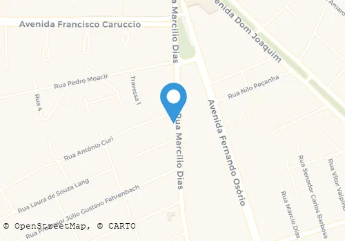 AUTO PECAS ELETRICAS SUL LTDA Veículos em Pelotas RS