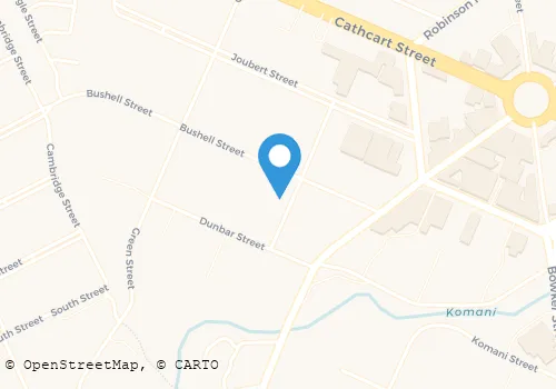 SKYFORCE SECURITY SERVICE Security Systems in Queenstown EC