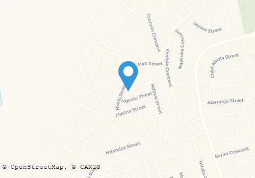 SKYFORCE SECURITY SERVICE Security Systems in Queenstown EC