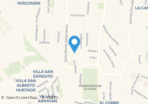 CARNICERIA RIVAS Carnicerías en La Ligua VS