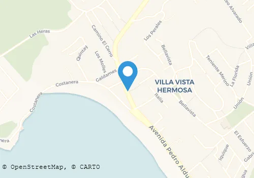 LUZ DE LAS MERCEDES VICENCIO FERNANDEZ Turismo Y Hotelería en Puchuncavi VS