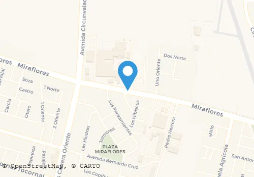 RAQUEL DEL CARMEN ALFARO SALINAS Confiterías en San Felipe VS