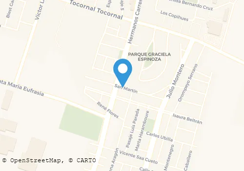 MARIA LUZ DEL CARMEN BUSTAMANTE RUBILAR Salud Y Belleza en San Felipe VS