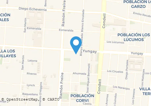 CARNICERIA CARMEN TROCAL Carnicerías en Quillota VS