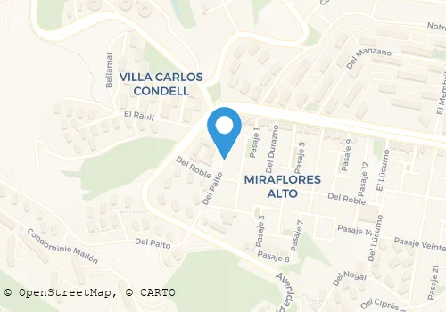 NINO Carnicerías en Viña del Mar VS