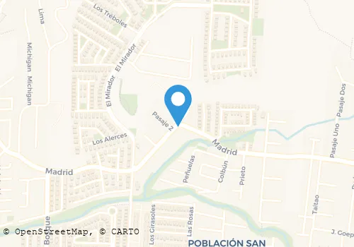 CARNE DOÑA MARIA Carnicerías en Villa Alemana VS
