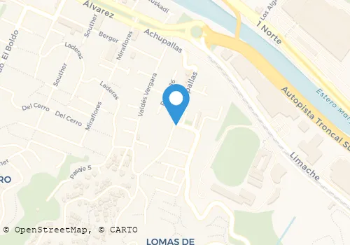 TRANSPORTES PATRICIO BOLTEI ESPINOZA E.I.R.L. Transportes en Viña del Mar VS