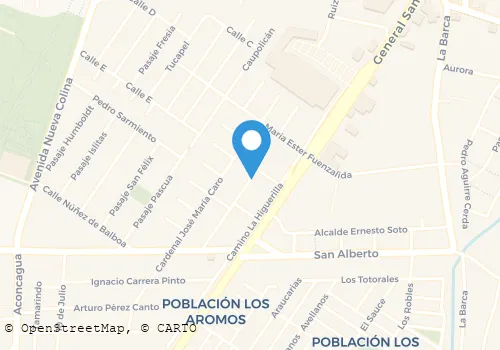 RADIOTAXIS SAN MARTIN Transportes en Colina AI