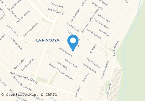 CARNICERIA LA MEJOR Carnicerías en Huechuraba RM