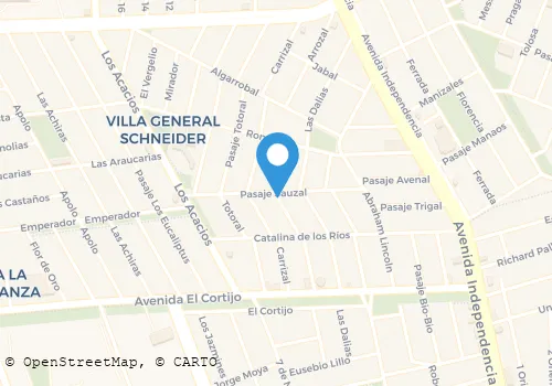 SANHUEZA SANHUEZA FELIX ANTONIO Salud Y Belleza en Conchalí RM