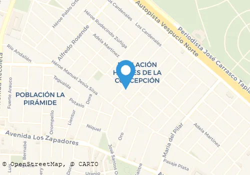 RADIOTAXI SIGLO XXI Transportes en Recoleta RM