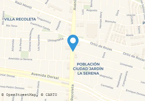 ROBERTO BAHAMONDES PIZARRO Turismo Y Hotelería en Recoleta RM