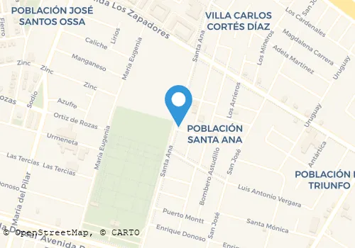 TRANSPORTES ALFREDO LOPEZ OYARZUN, EIRL Transporte De Carga en Recoleta RM