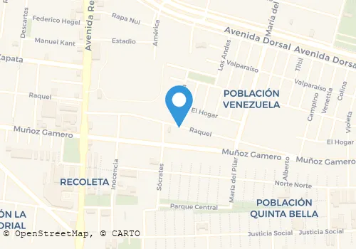 RADIO TAXIS EL CAMALEON Transportes en Recoleta RM